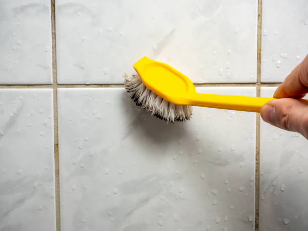 Best Mold Removal Near Me  in Mayville, WI