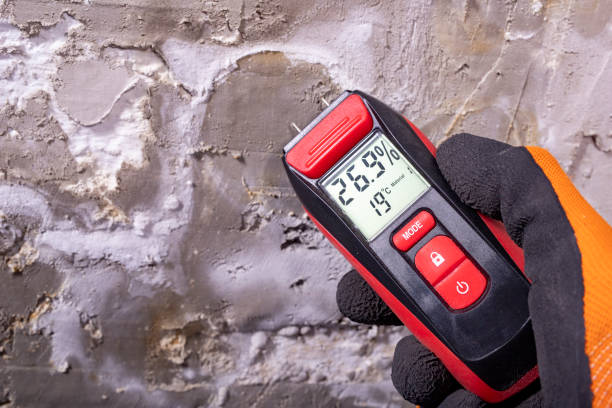 Trusted Mayville, WI Mold Removal Experts