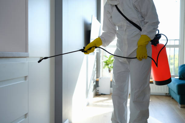 Best Mold Remediation Services  in Mayville, WI